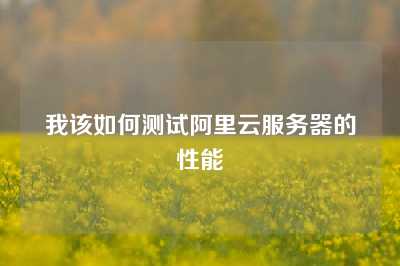 我该如何测试阿里云服务器的性能