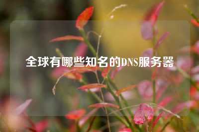 全球有哪些知名的DNS服务器