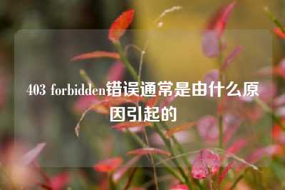 403 forbidden错误通常是由什么原因引起的
