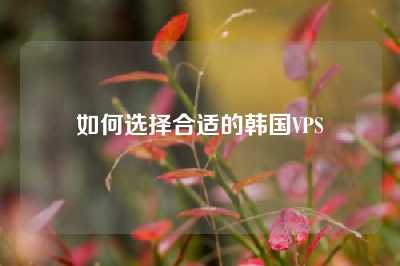 如何选择合适的韩国VPS