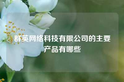 群英网络科技有限公司的主要产品有哪些