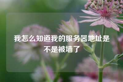 我怎么知道我的服务器地址是不是被墙了
