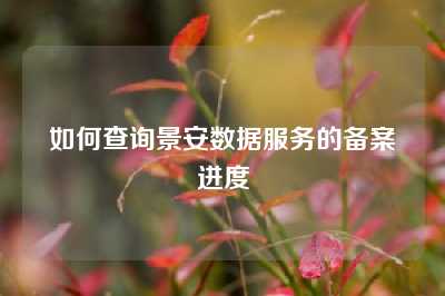 如何查询景安数据服务的备案进度