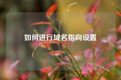 如何进行域名指向设置