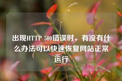 出现HTTP 500错误时，有没有什么办法可以快速恢复网站正常运行
