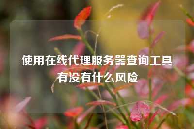使用在线代理服务器查询工具有没有什么风险