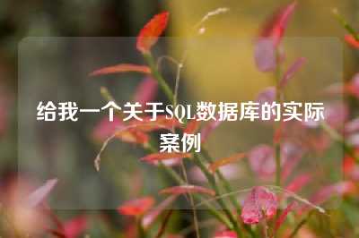 给我一个关于SQL数据库的实际案例