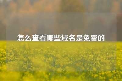 怎么查看哪些域名是免费的