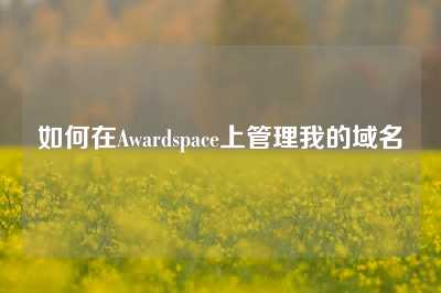 如何在Awardspace上管理我的域名