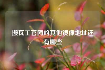 搬瓦工官网的其他镜像地址还有哪些