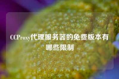 CCProxy代理服务器的免费版本有哪些限制