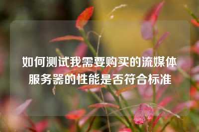如何测试我需要购买的流媒体服务器的性能是否符合标准