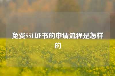 免费SSL证书的申请流程是怎样的