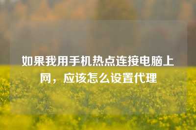 如果我用手机热点连接电脑上网，应该怎么设置代理