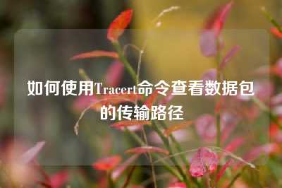 如何使用Tracert命令查看数据包的传输路径