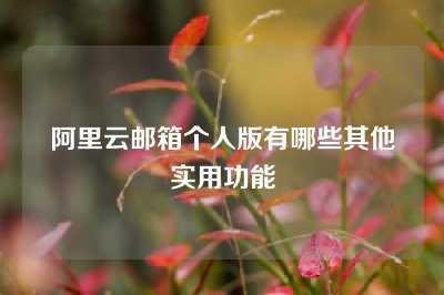 阿里云邮箱个人版有哪些其他实用功能