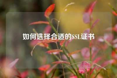 如何选择合适的SSL证书