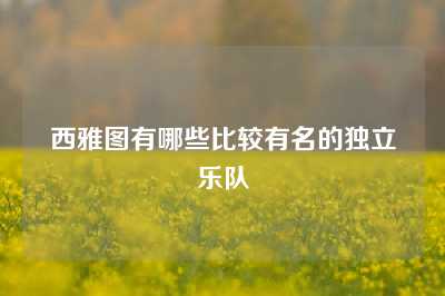 西雅图有哪些比较有名的独立乐队