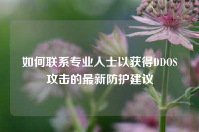 如何联系专业人士以获得DDOS攻击的最新防护建议