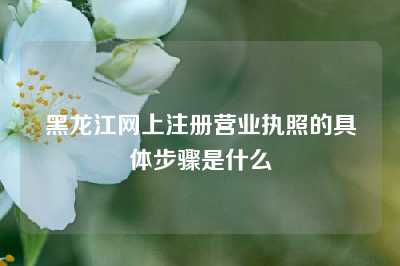 黑龙江网上注册营业执照的具体步骤是什么