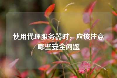 使用代理服务器时，应该注意哪些安全问题