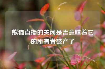 熊猫直播的关闭是否意味着它的所有者破产了