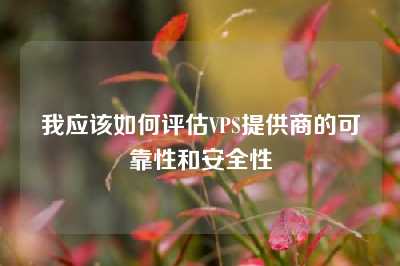 我应该如何评估VPS提供商的可靠性和安全性