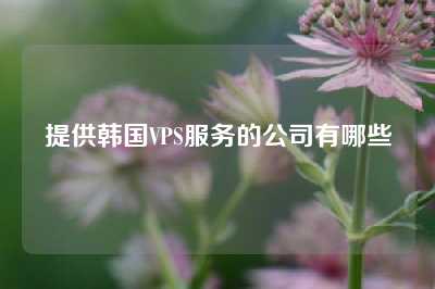 提供韩国VPS服务的公司有哪些