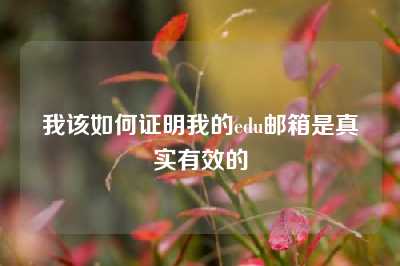 我该如何证明我的edu邮箱是真实有效的