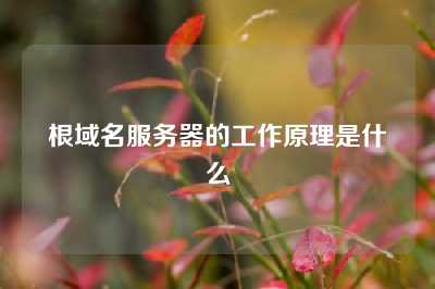 根域名服务器的工作原理是什么
