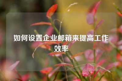 如何设置企业邮箱来提高工作效率