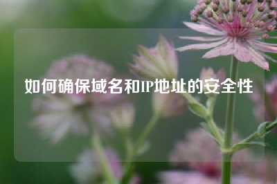 如何确保域名和IP地址的安全性