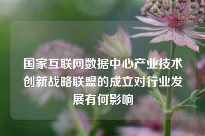 国家互联网数据中心产业技术创新战略联盟的成立对行业发展有何影响