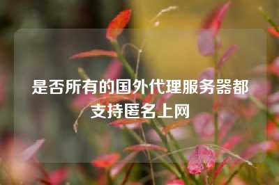 是否所有的国外代理服务器都支持匿名上网