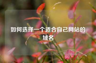 如何选择一个适合自己网站的域名