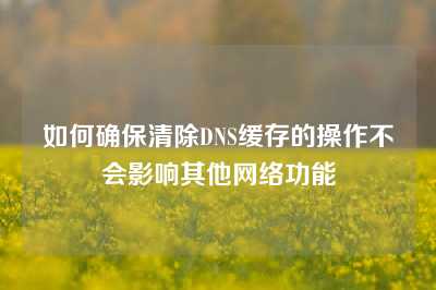 如何确保清除DNS缓存的操作不会影响其他网络功能