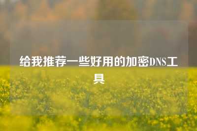 给我推荐一些好用的加密DNS工具