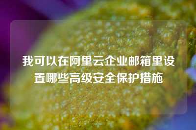 我可以在阿里云企业邮箱里设置哪些高级安全保护措施