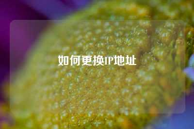 如何更换IP地址