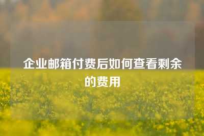 企业邮箱付费后如何查看剩余的费用