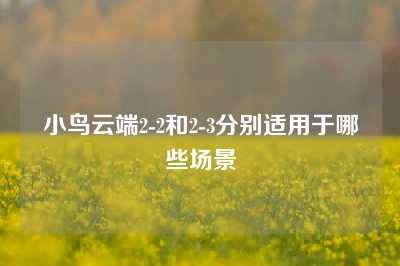 小鸟云端2-2和2-3分别适用于哪些场景