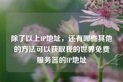 除了以上IP地址，还有哪些其他的方法可以获取我的世界免费服务器的IP地址