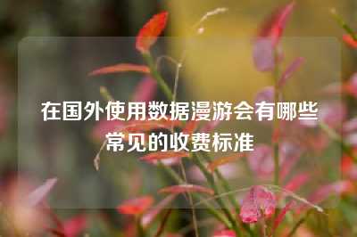在国外使用数据漫游会有哪些常见的收费标准