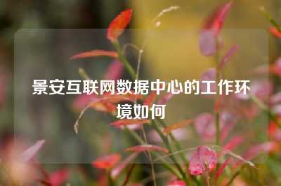 景安互联网数据中心的工作环境如何