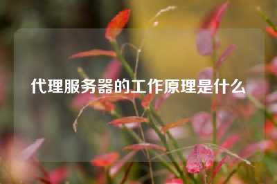 代理服务器的工作原理是什么