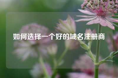 如何选择一个好的域名注册商