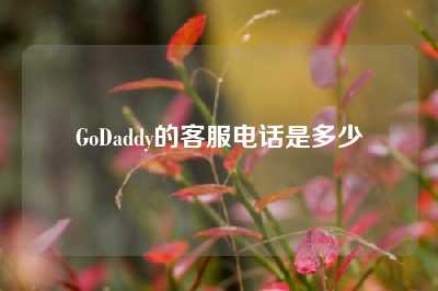GoDaddy的客服电话是多少