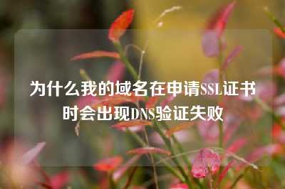 为什么我的域名在申请SSL证书时会出现DNS验证失败