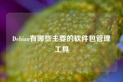 Debian有哪些主要的软件包管理工具