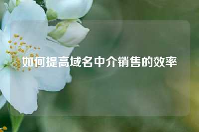 如何提高域名中介销售的效率